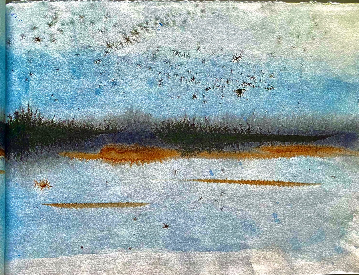 Workshop – Aquarell und Tusche ganz groß